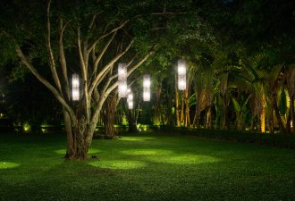arvore-com-iluminacao-da-lampada