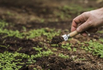 conceito-de-jardinagem-com-plantio-de-homem